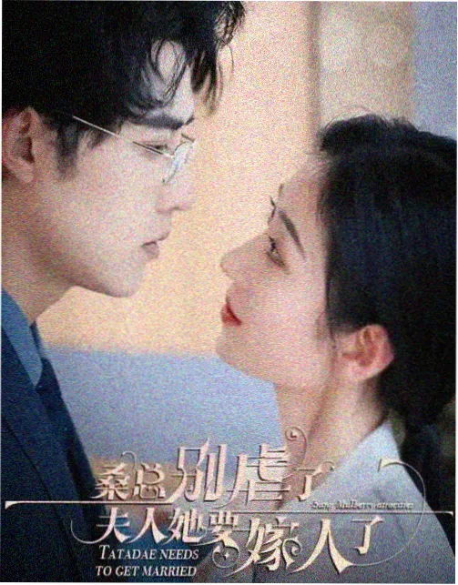 灰岸警事 在线观看封面